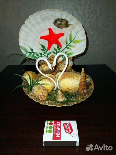 Красивая Ракушка