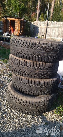 Nokian Tyres Nordman 5 195/65 R15 95T