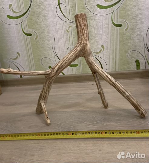 Коряги в аквариум/террариум, ракушечник