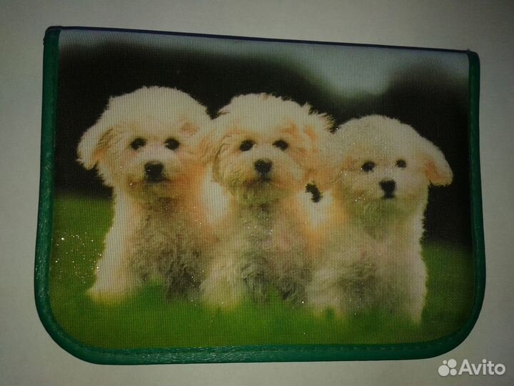 Пенал, скрепыш в подарок