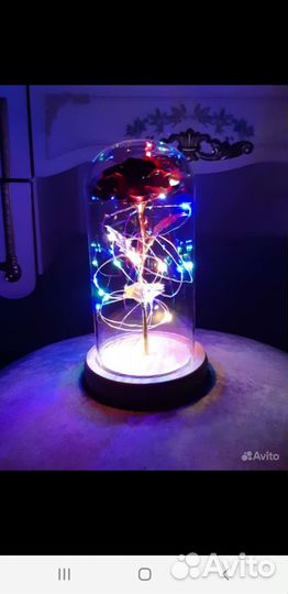 Вечная роза в колбе