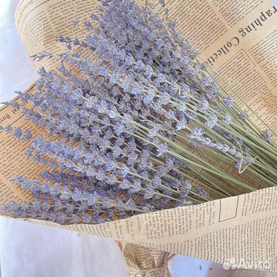 Букеты премиальный лаванды