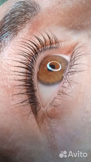 Ламинирование ресниц.Брови Петергоф