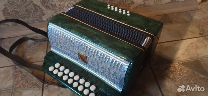 Гармонь малыш