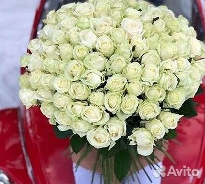 Высокие розы Гигантские Розы 150 160 170 180 190см
