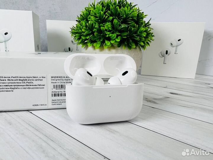 AirPods Pro 2 (type C, 2024 )