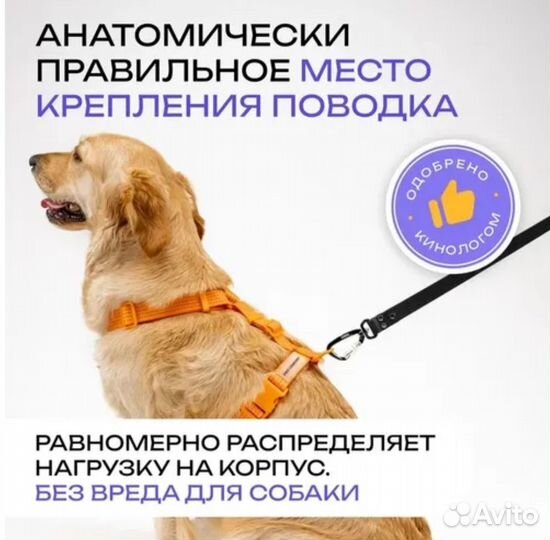 Шлейка для собаки анатомическая