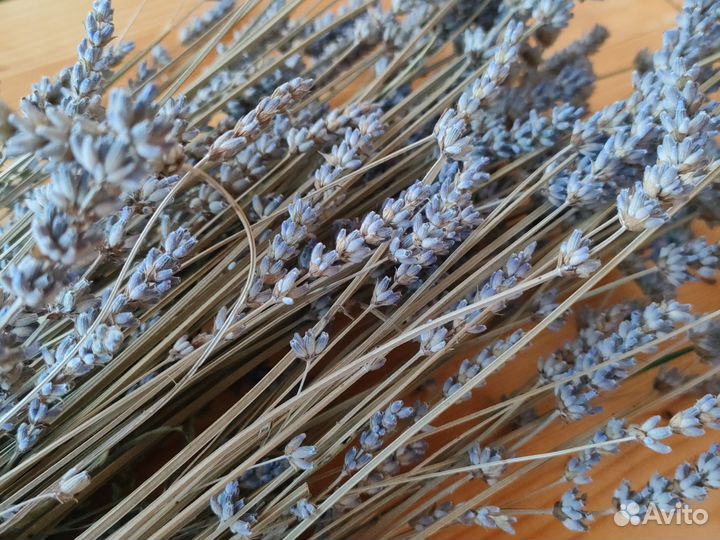 Лаванда высушенная, сухоцвет 2 пучка
