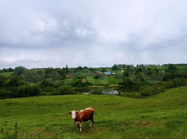 Дом 33,1 м² на участке 25 сот.