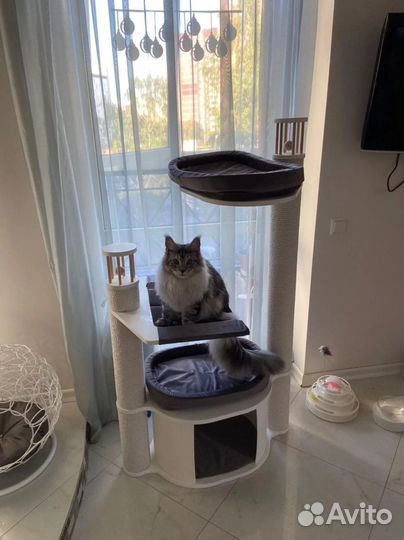 Когтеточка домик для кошки