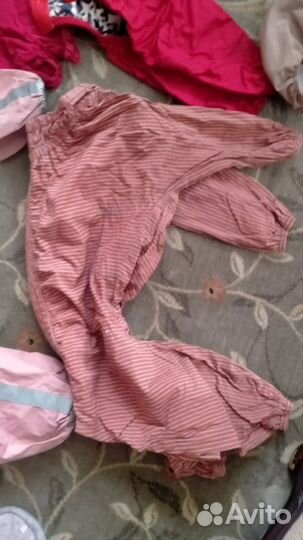 Одежда для собак