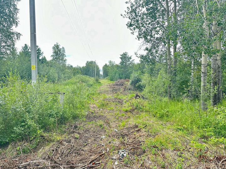 Участок 9,2 сот. (СНТ, ДНП)