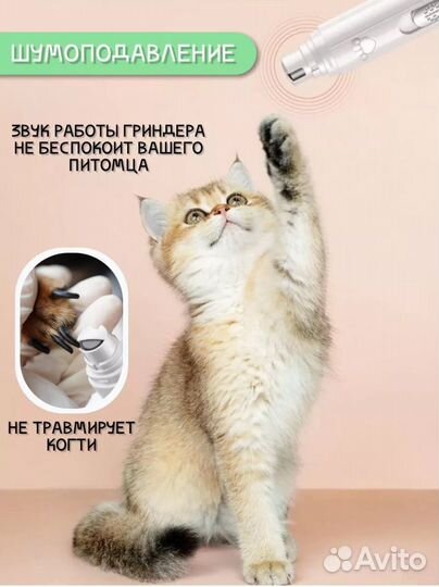 Когтеточка