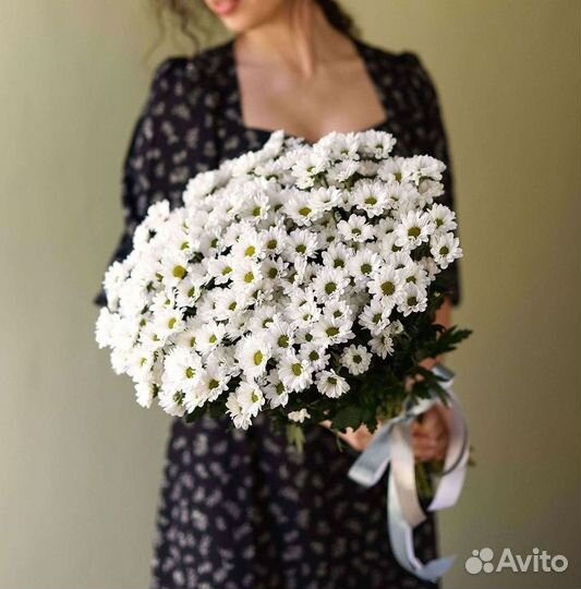 Хризантема