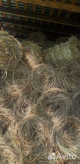 Сено луговое