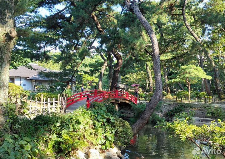 Репетитор по японскому языку