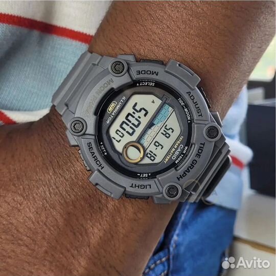 Часы мужские Casio Collection WS-1300H-8A