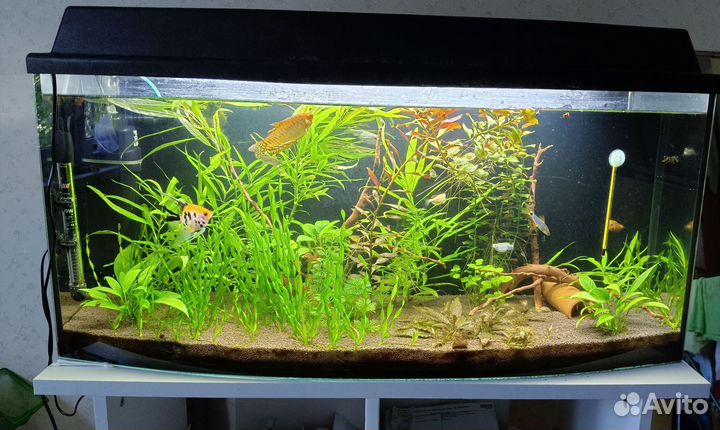 Аквариум с тумбой