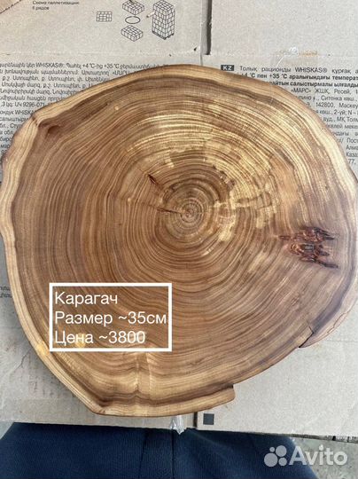 Торцевые спилы деревьев слэбы дерево Карагач