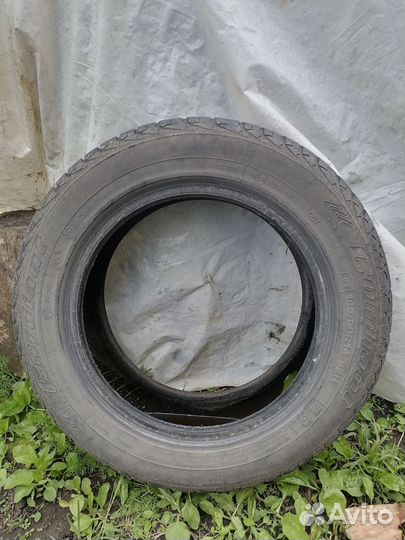 Шина r14