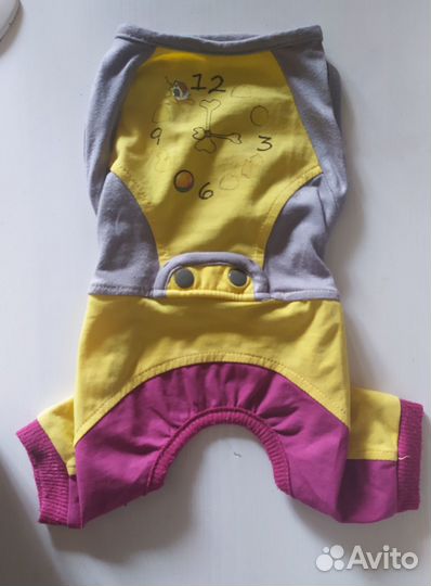 Одежда для маленькой собачки