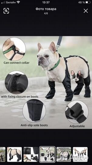 Ботики для собак на подтяжках
