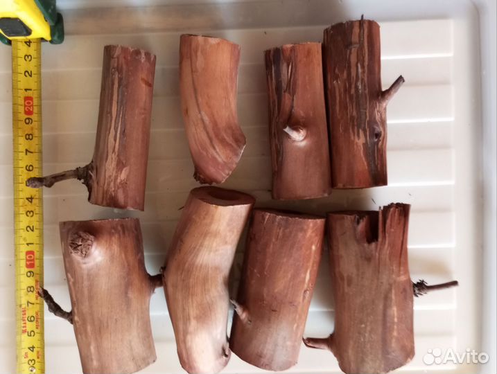 Коряги для аквариума