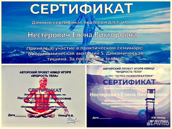 Сеанс энерготерапии. Биодинамика. Помощь под Ключ