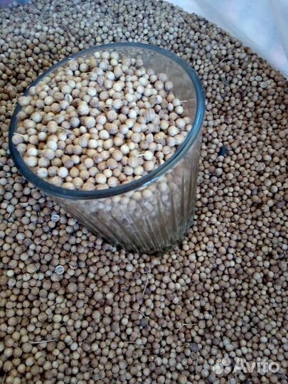 Семена кориандра (кинза)