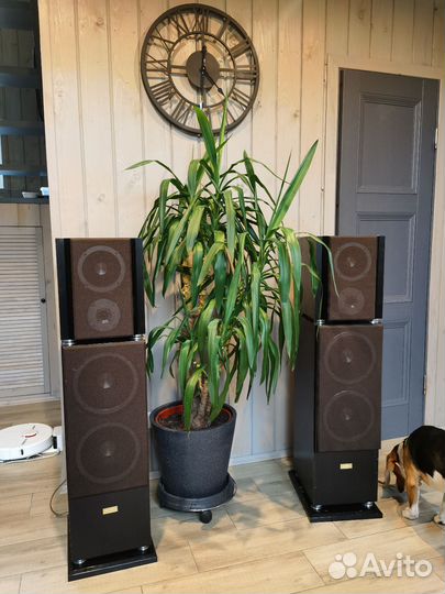 Колонки soundking