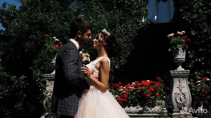 Свадебный Видеограф Новосибирск + Аэросъёмка, Фото