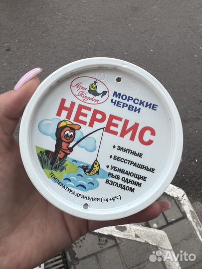 Червь нереис китайский