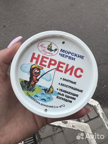 Червь нереис китайский