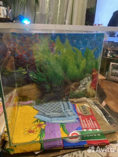 Аквариум