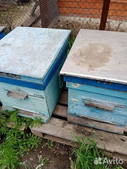 Улей для пчел бу