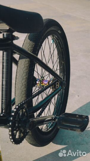 Bmx WTP envy