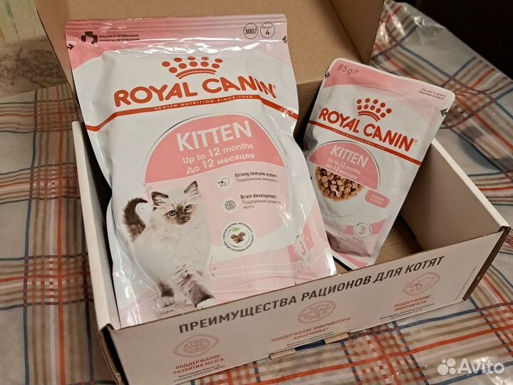 Корм для котят royal canin