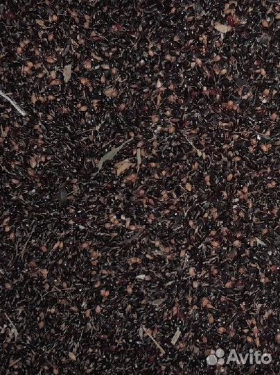 Суданка I люцерна эспарцет