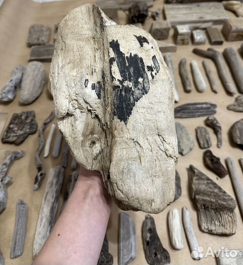 Дрифтвуд набор