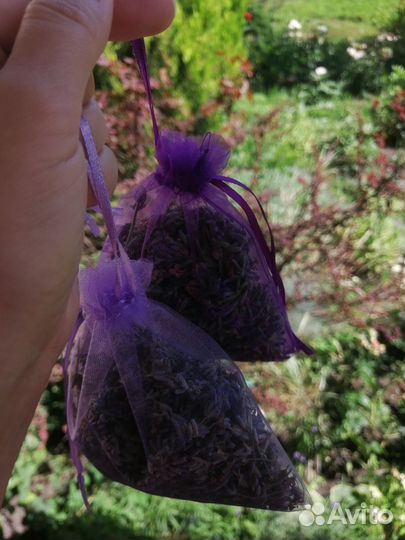 Лаванда букет