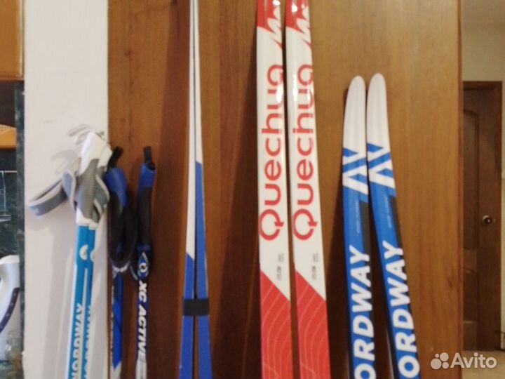 Беговые лыжи