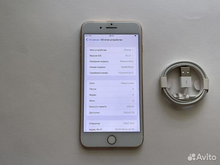 iPhone 8 Plus (256 gb)