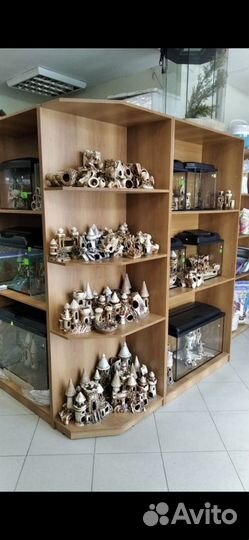 Аквариумные рыбки, все для аквариумистики