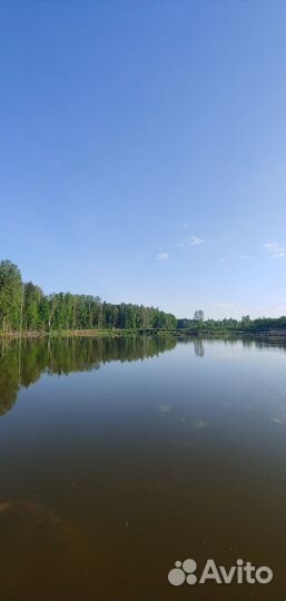 Рыба рыбалка