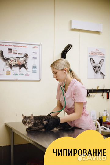 Ветеринарный врач на дом. Круглосуточный выезд