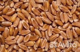Крупы Мука Комбикорм Зерно Толокно. Стань Дилером