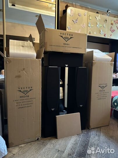 Напольные колонки vector hx 310, hx251
