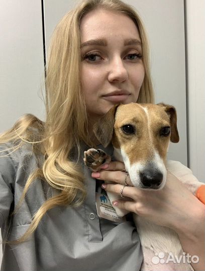 Ветеринарный врач