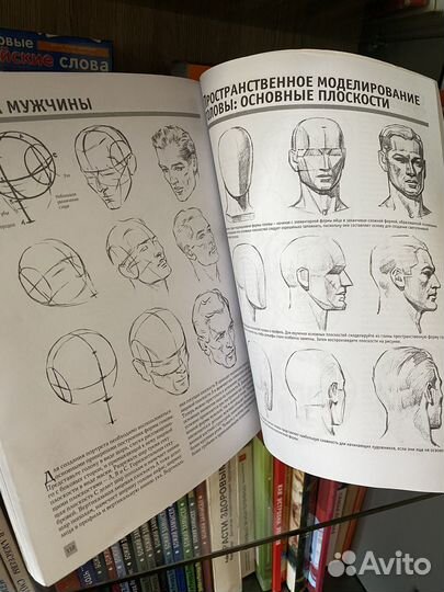 Полный курс рисования