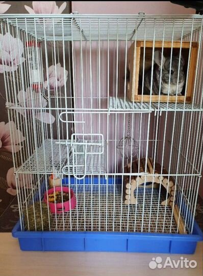 Клетка для шиншиллы